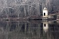 <center>
Les vieux platanes du parc se reflètent<br> dans le fleuve qui a recouvré son lit. rivière Vienne, platanes, tourelle du château. 