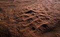 <center>Au bas de ces vagues, la végétation est présente;<br> que surviennent les pluies et les dunes fleuriront. Dunes de Sossusvlei, Namibie. vu d'avion 