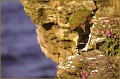 <center>
Vertige ?... Connais pas ! Ecosse 