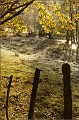  Morvan 
