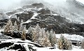 <center>Le décor hivernal jette son manteau blanc ;<br> l'automne disparaît... en toute délicatesse !<center> 


 massifs enneigés,alpes. 