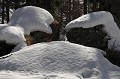  roche neige qui recouvre alpes 