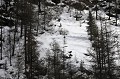 <center> En ce printemps... Pour le plus grand plaisir des derniers skieurs ! Paysage en hiver 
val de Rhêmes, dans le massif du Grand Paradis 