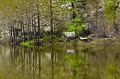 <center>
Ce plan d'eau inonde encore la prairie. Il faudra<br>
attendre encore un peu pour y conduire le bétail. Prairie inondée. Val de Rhêmes. GRAND PARADIS Aoste 