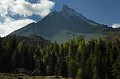  Le Grand Nomenon de Cogne Grand Paradis 
