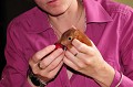 Il déguste avec gourmandise la cerise que Lydia lui offre. Ecureuil en soins. Nourrissage à l'aide de fruit 