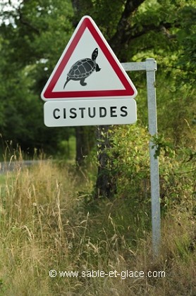 Attention ! <br>Passage de Cistudes