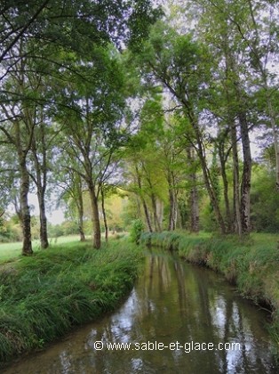 Et au milieu coule une rivière