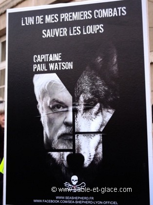 PAUL WATSON
