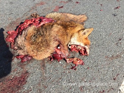 Triste spectacle..