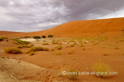 Environnement Deid vlei