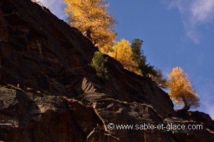Un automne sans pareil