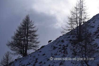 Sur l'arête du versant sous de lourds nuages