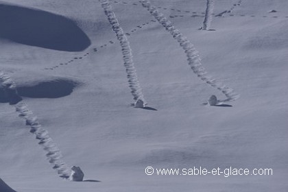 Animation neigeuse