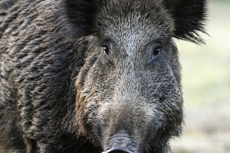 Les yeux dans les Yeux