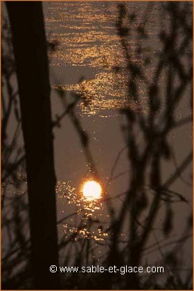 Soir d'hiver