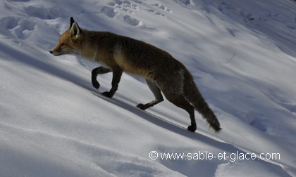 Agile