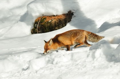 Chercher, encore et encore...