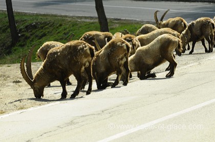 Sur la route...
