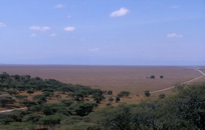 Ici commence le Serengeti !
