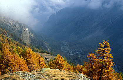 Le Grand Paradis en automne